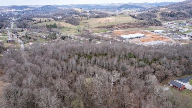 0 Main St N, Carthage, TN 37030 - photo 13