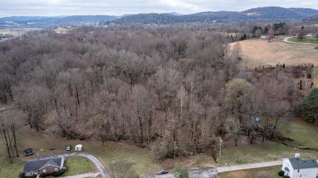 0 Main St N, Carthage, TN 37030 - photo 3