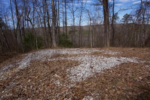 0 Meadow Lark, Dunlap, TN 37327 - photo 4