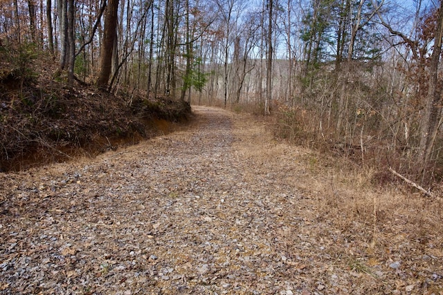 0 Meadow Lark, Dunlap, TN 37327 - photo 5