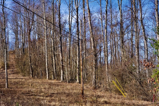 0 Meadow Lark, Dunlap, TN 37327 - photo 2