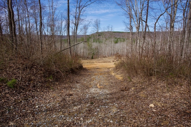 0 Meadow Lark, Dunlap, TN 37327 - photo 6
