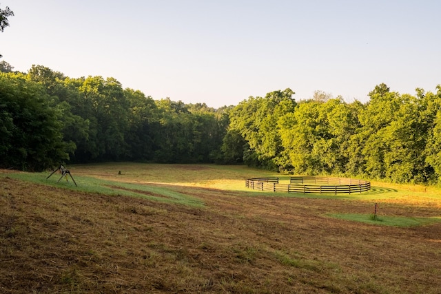 1990 Dr Robinson Rd, Spring Hill, TN 37174 - photo 87