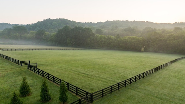 1990 Dr Robinson Rd, Spring Hill, TN 37174 - photo 93