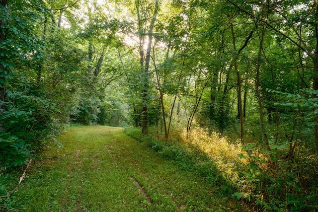 1990 Dr Robinson Rd, Spring Hill, TN 37174 - photo 89