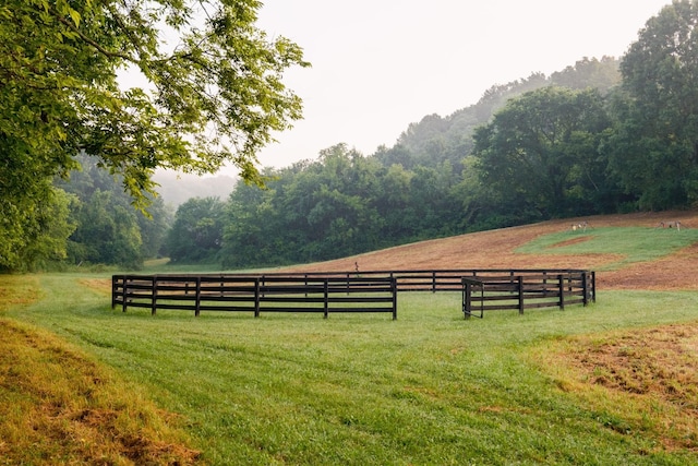 1990 Dr Robinson Rd, Spring Hill, TN 37174 - photo 84