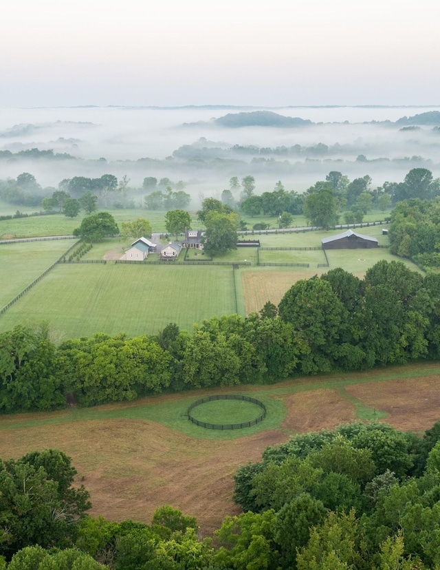 1990 Dr Robinson Rd, Spring Hill, TN 37174 - photo 9