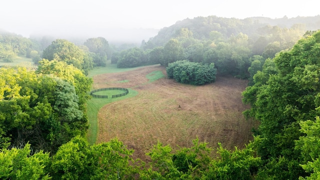 1990 Dr Robinson Rd, Spring Hill, TN 37174 - photo 85