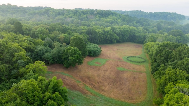 1990 Dr Robinson Rd, Spring Hill, TN 37174 - photo 86