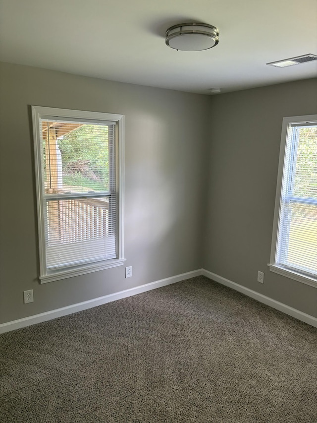 119 Mcginness Ave, Carthage, TN 37030 - photo 10