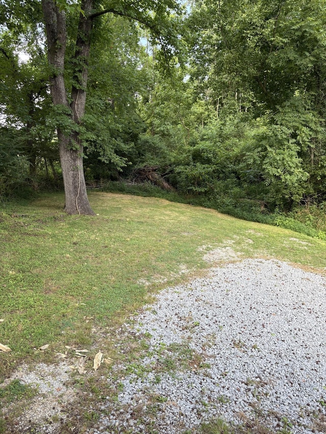 119 Mcginness Ave, Carthage, TN 37030 - photo 16