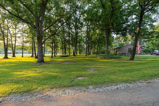 109 Old Horn Springs Rd, Lebanon, TN 37087 - photo 15