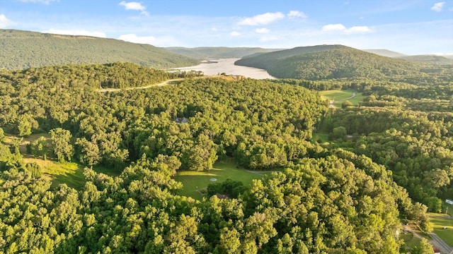 275 Old Mullins Cove Rd, Whitwell, TN 37397 - photo 7