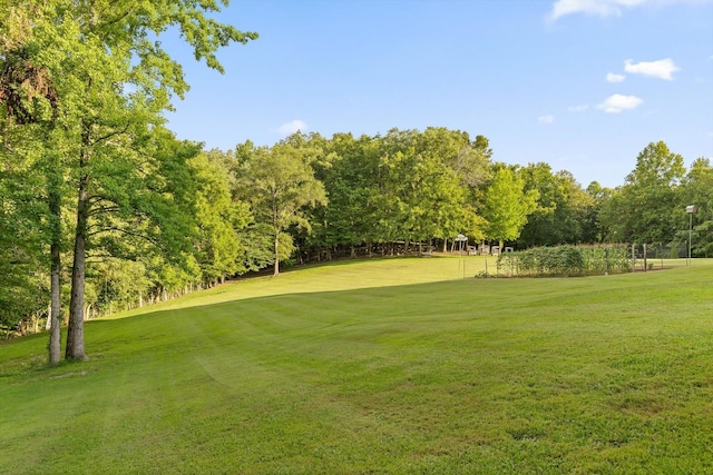 275 Old Mullins Cove Rd, Whitwell, TN 37397 - photo 76