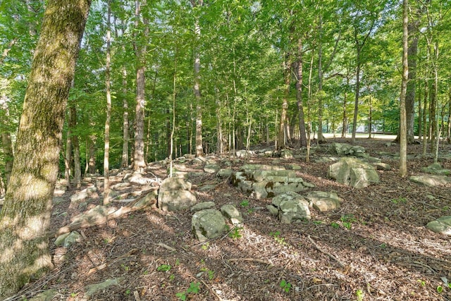 275 Old Mullins Cove Rd, Whitwell, TN 37397 - photo 94