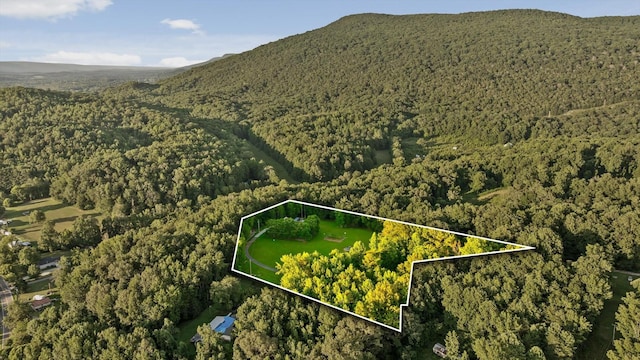 275 Old Mullins Cove Rd, Whitwell, TN 37397 - photo 8
