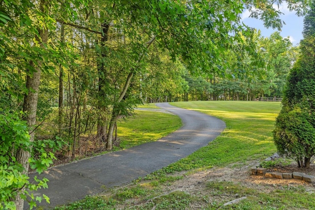 275 Old Mullins Cove Rd, Whitwell, TN 37397 - photo 100