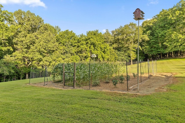 275 Old Mullins Cove Rd, Whitwell, TN 37397 - photo 77