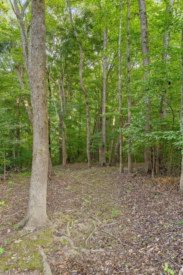 275 Old Mullins Cove Rd, Whitwell, TN 37397 - photo 93