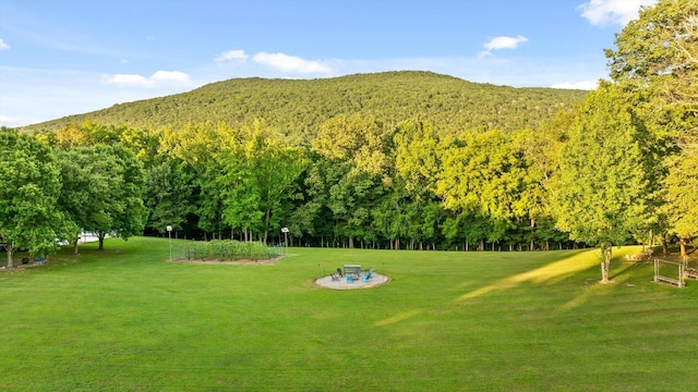275 Old Mullins Cove Rd, Whitwell, TN 37397 - photo 85