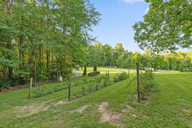 275 Old Mullins Cove Rd, Whitwell, TN 37397 - photo 82