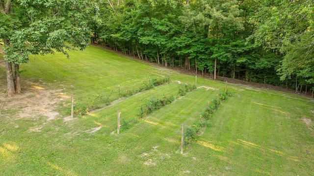 275 Old Mullins Cove Rd, Whitwell, TN 37397 - photo 83
