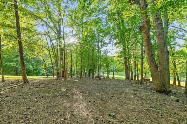 275 Old Mullins Cove Rd, Whitwell, TN 37397 - photo 97