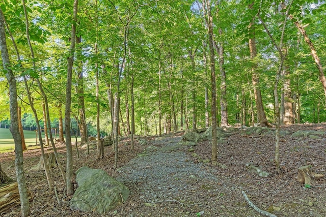 275 Old Mullins Cove Rd, Whitwell, TN 37397 - photo 95