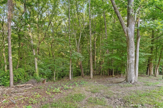 275 Old Mullins Cove Rd, Whitwell, TN 37397 - photo 92