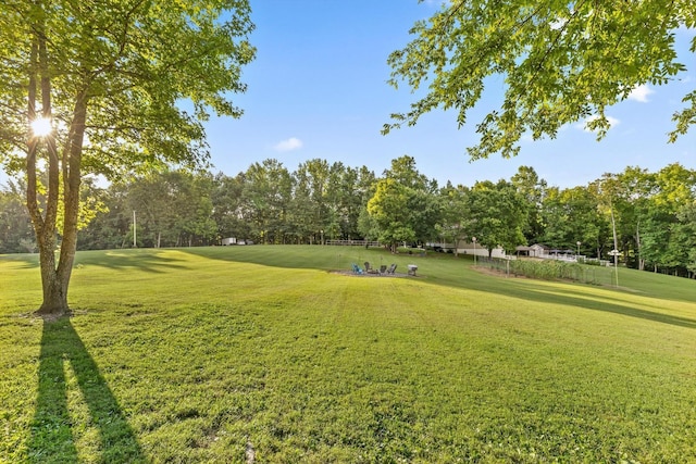 275 Old Mullins Cove Rd, Whitwell, TN 37397 - photo 14