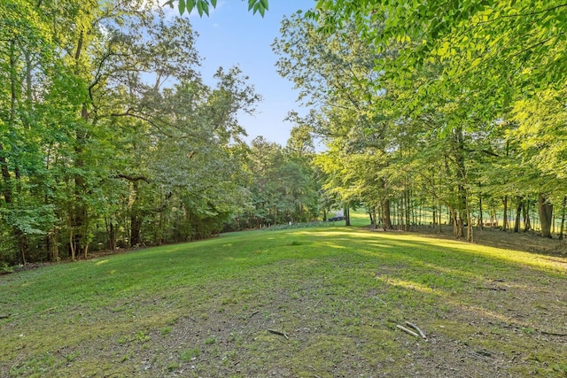 275 Old Mullins Cove Rd, Whitwell, TN 37397 - photo 98