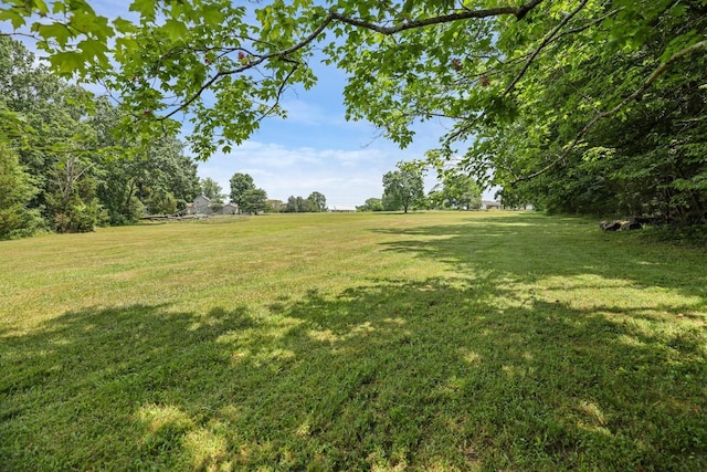 4284 Kedron Rd, Spring Hill, TN 37174 - photo 38