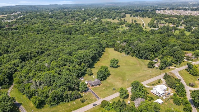 4284 Kedron Rd, Spring Hill, TN 37174 - photo 47