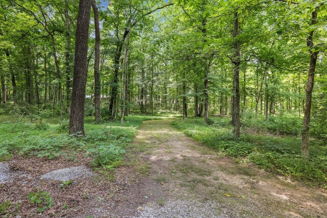 4284 Kedron Rd, Spring Hill, TN 37174 - photo 43