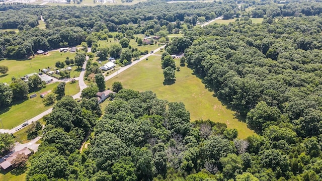 4284 Kedron Rd, Spring Hill, TN 37174 - photo 51