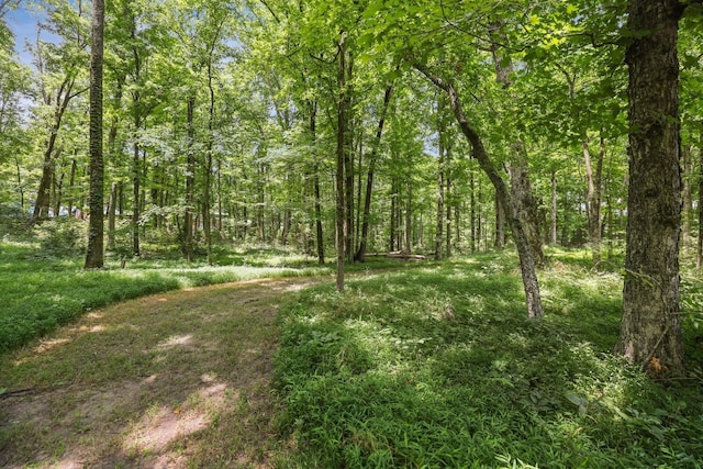 4284 Kedron Rd, Spring Hill, TN 37174 - photo 44