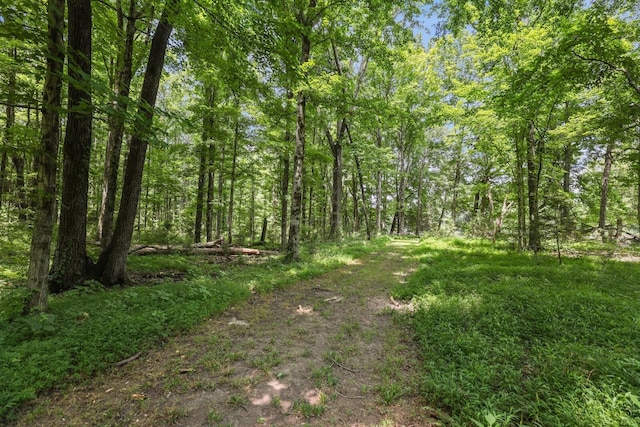 4284 Kedron Rd, Spring Hill, TN 37174 - photo 45