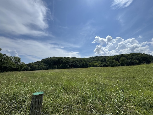 0 Collier Ln, Gallatin, TN 37066 - photo 4