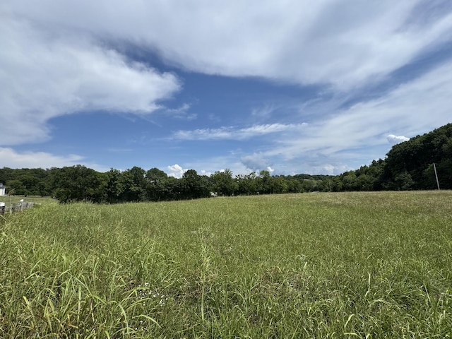0 Collier Ln, Gallatin, TN 37066 - photo 7