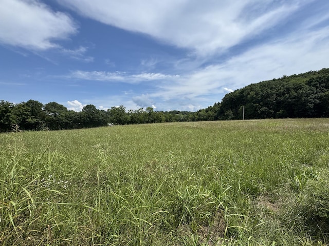0 Collier Ln, Gallatin, TN 37066 - photo 8