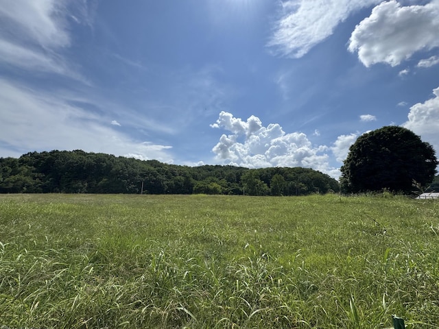 0 Collier Ln, Gallatin, TN 37066 - photo 5