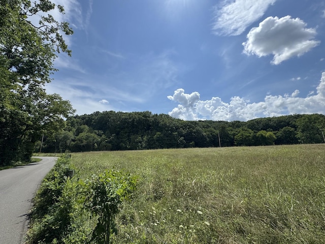 0 Collier Ln, Gallatin, TN 37066 - photo 6