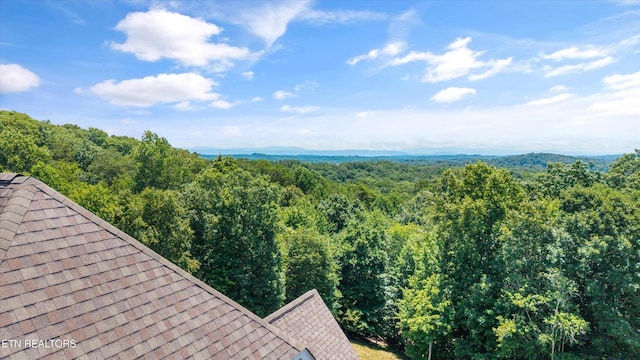 2321 Mystic Ridge Rd, Knoxville, TN 37922 - photo 5