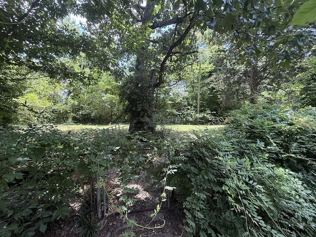 230 Yorktown Rd, Clarksville, TN 37042 - photo 13