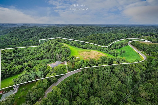 15225 Nashville Hwy, Buffalo Valley, TN 38548 - photo 66