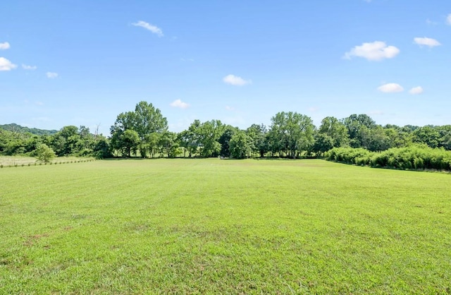 3005 Lockwood Ridge Ln, Franklin, TN 37064 - photo 24