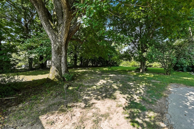 735 Gracey Ave, Clarksville, TN 37040 - photo 26