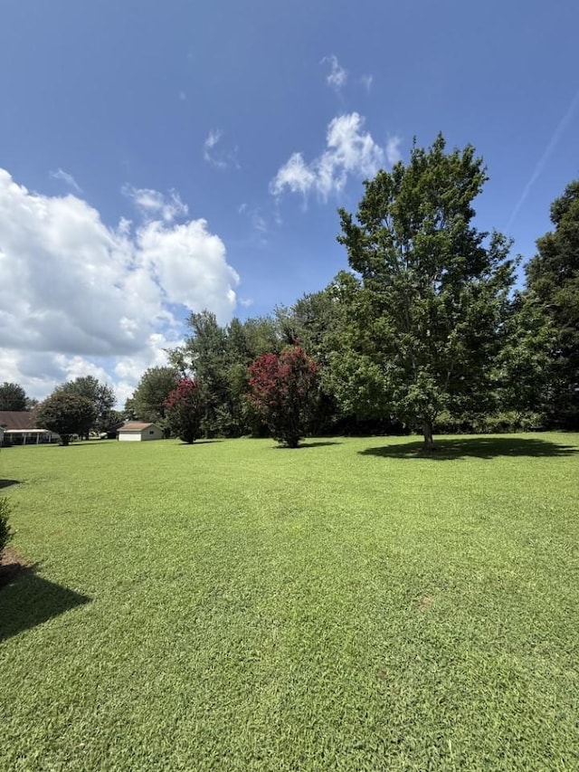 1303 5th Ave, Lawrenceburg, TN 38464 - photo 45