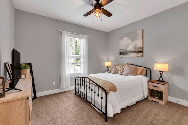 459 Finnhorse Ln, Franklin, TN 37064 - photo 20