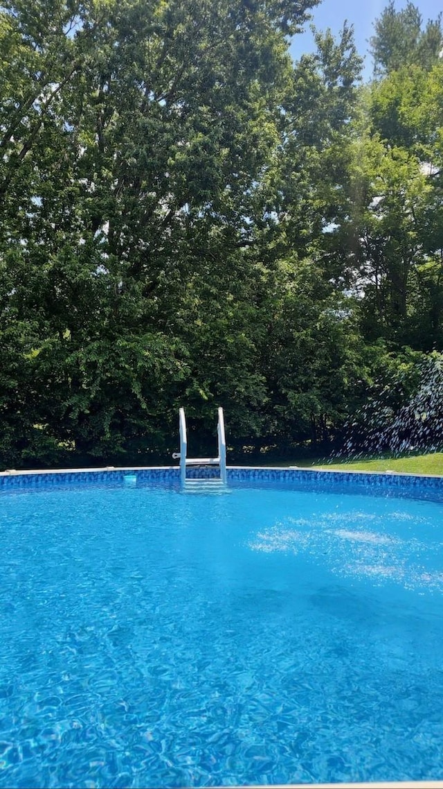 1911 Claymont Dr, Clarksville, TN 37040 - photo 25
